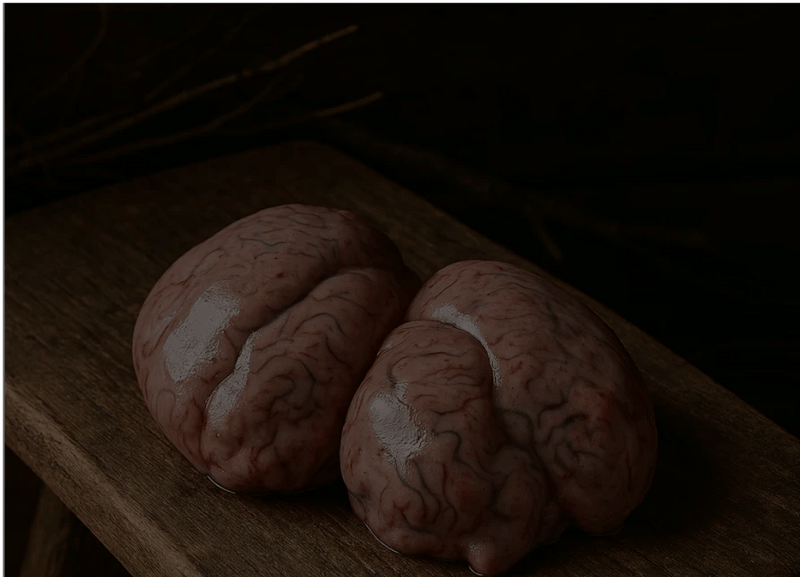 Bison Testicles