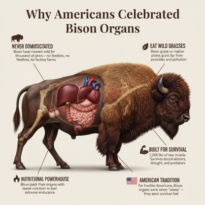 Primal American Bison | Testosterone Booster