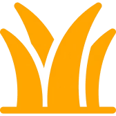 100% Grass-Fed Bison organs