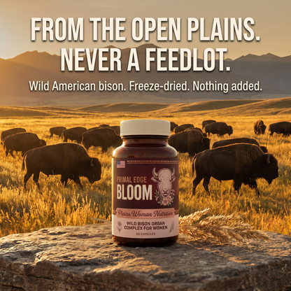 BLOOM v2 11 from the open plains