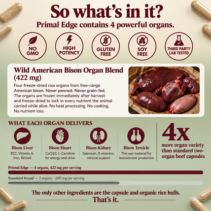 Primal American Bison | Blood Pressure Support