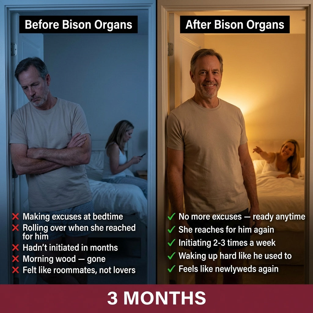 Primal American Bison | Testosterone Booster