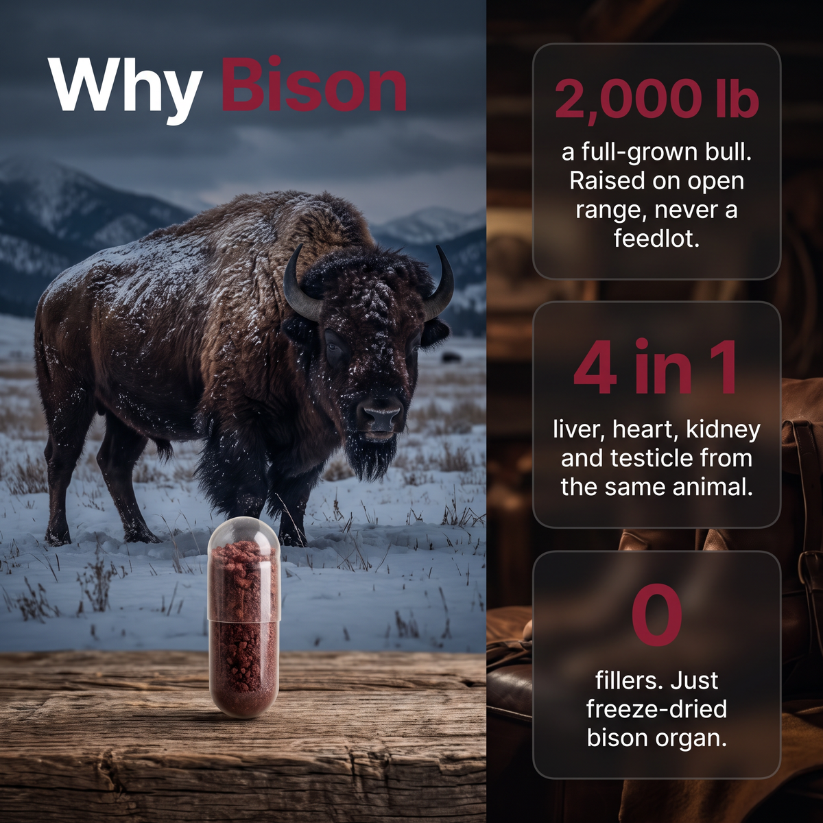 Why free-range American bison