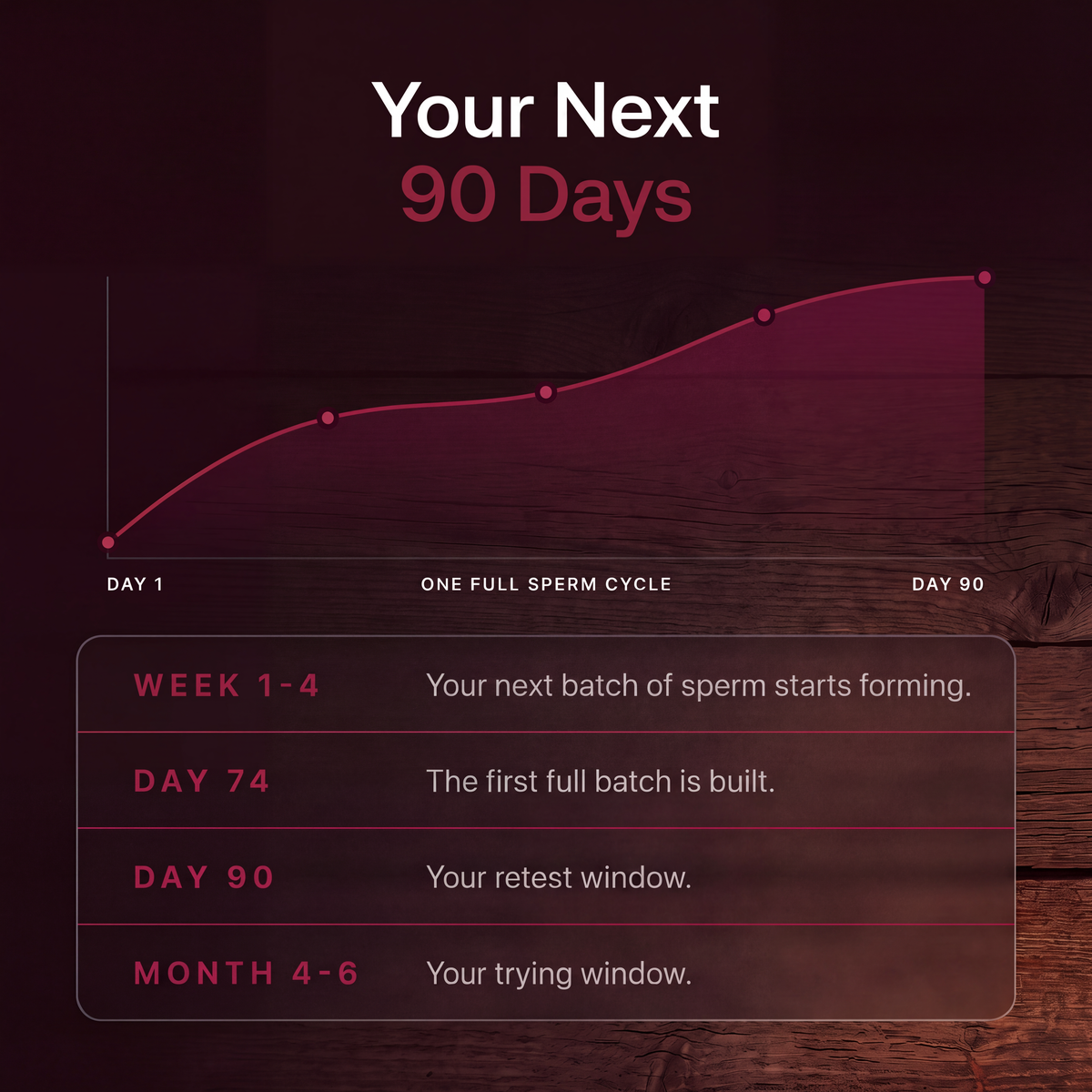 SMQ | Your next 90 days, one full sperm cycle
