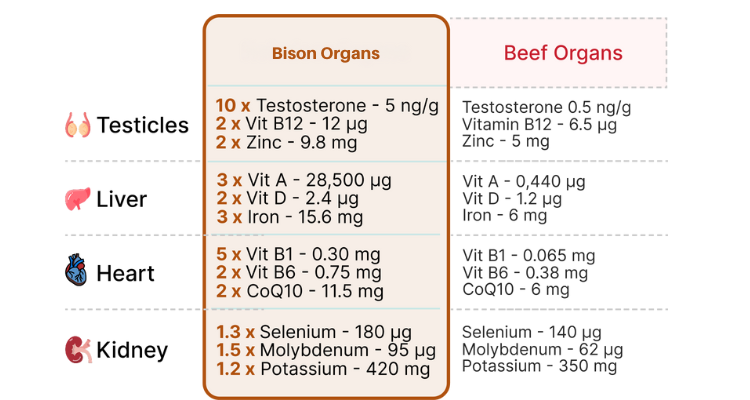 Men Bison Back Problem Primal American Bison Testosterone Booster – Primal Edge
